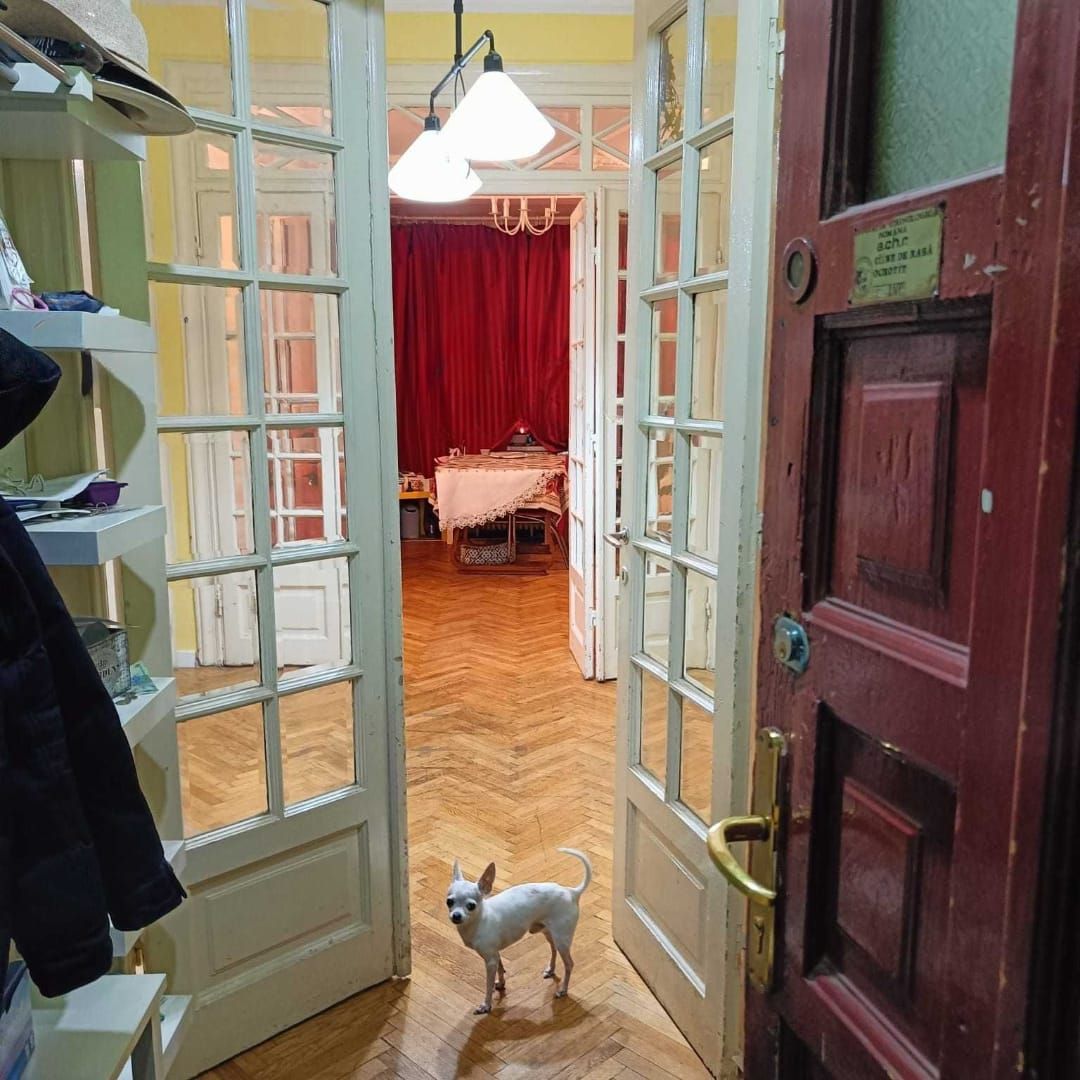 De vanzare Apartament 4 camere Interbelic consolidat Mosilor Central - Poză 2