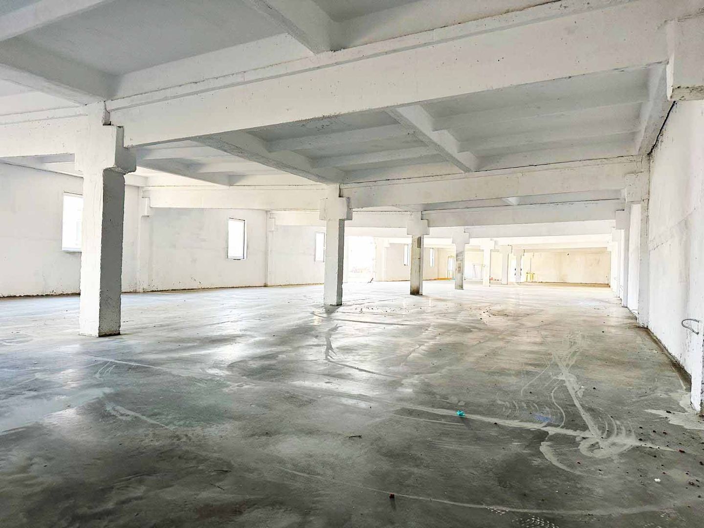 Inchiriere Hale Industriale în Aluniș, Arad  250 mp-1.500 mp - Poză 2