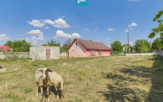 Spațiu comercial pe DN79 în Zimandu Nou - Poză 7