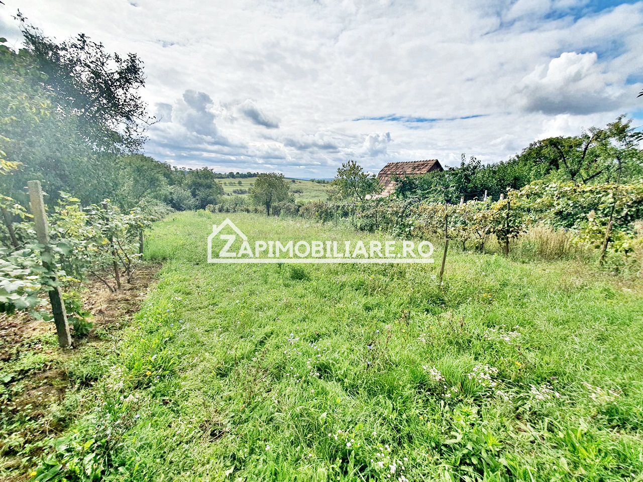 Teren 3.412 mp,zona Belvedere 45 euro mp - Poză 9