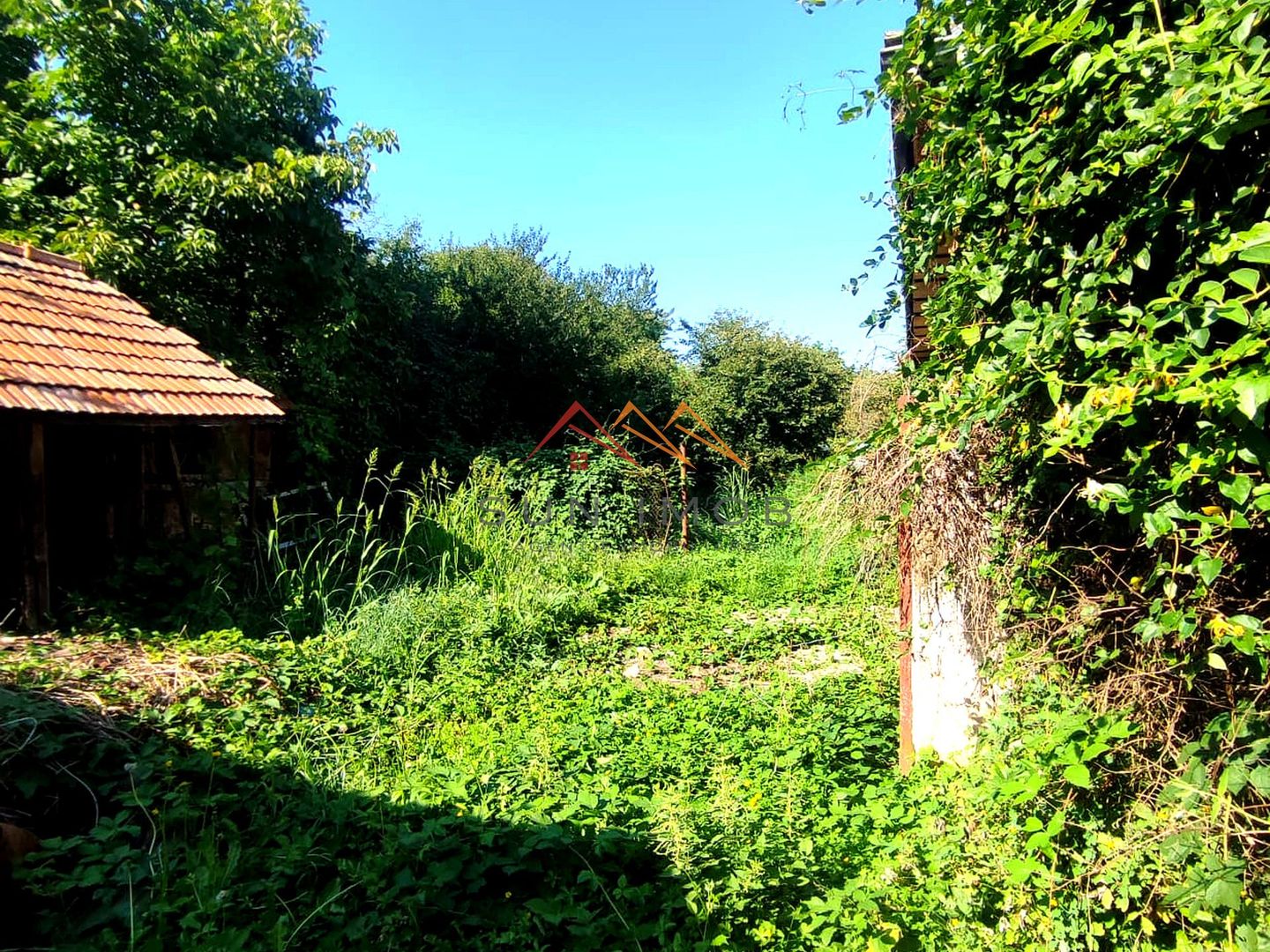 CASĂ DE VÂNZARE | 1.486 MP TEREN | URLETA - Poză 12