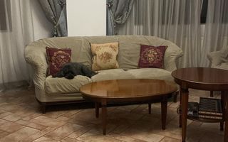 Vila S+P+2, cu suprafata utila 350 mp, Calea Grivitei - Poză 15