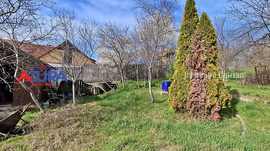 AZURA Imobiliare - Teren Budeasa Galasesti - Poză 11