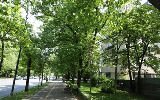 De Gaulle Residence/Arcul de Triumf - Poză 12