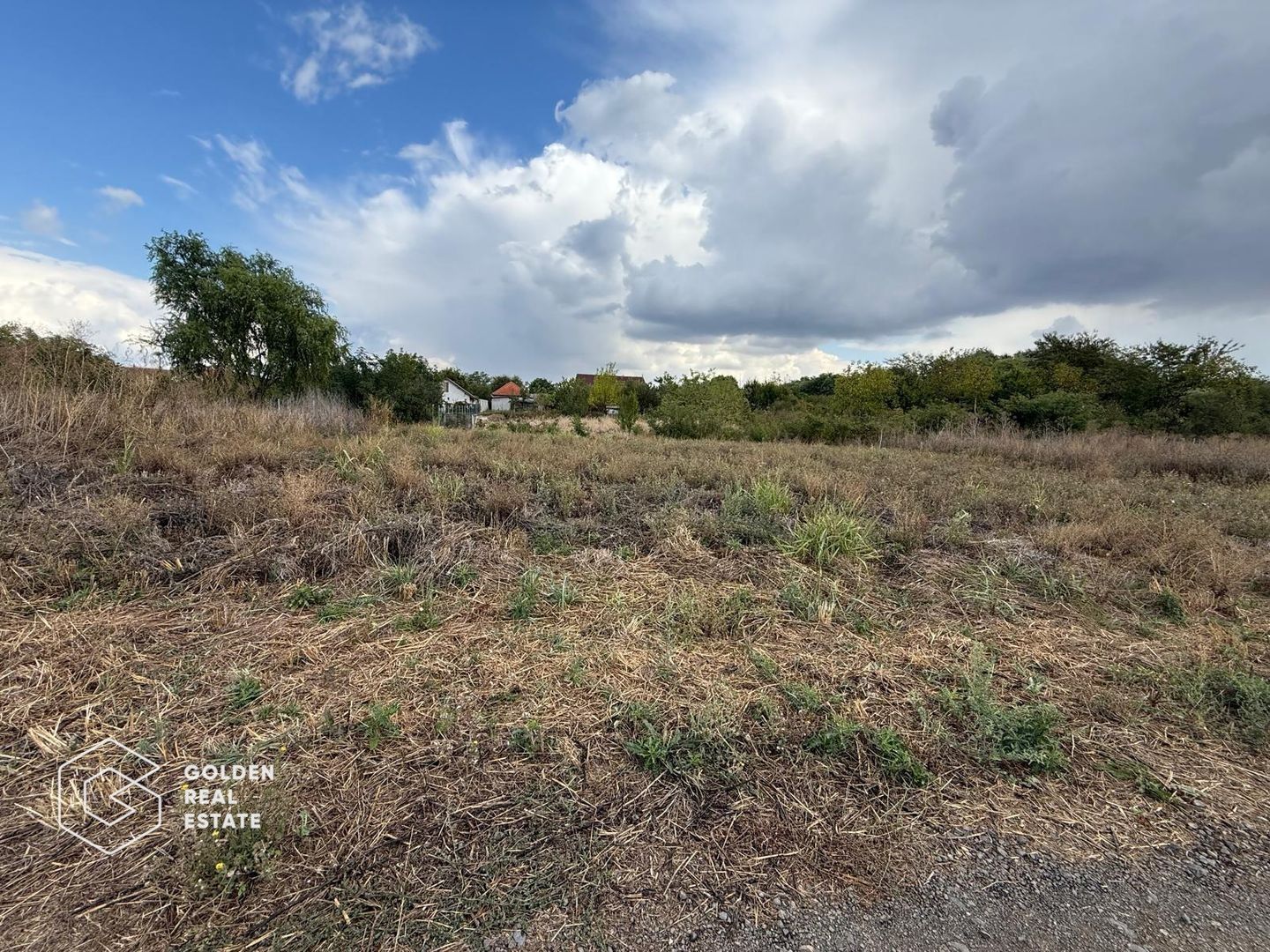 Teren intravilan 538 mp, curti constructii, Sacalaz, Tims - Poză 2