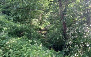 Teren în Fântânele – 3.673 mp, pârâu si cadru natural  deosebit - Poză 9