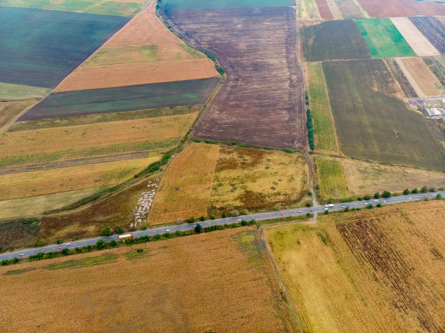 Teren de 19798mp în Zimandu Nou - Poză 6