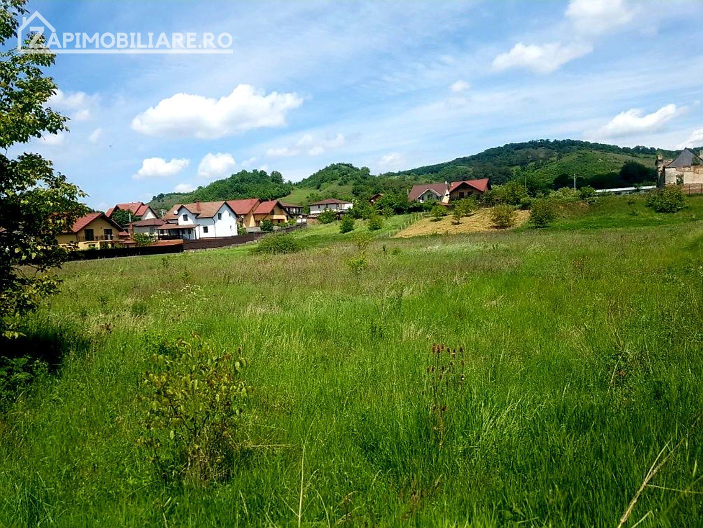 Teren intravilan 5.700 mp in Corunca,zona castelului,34 eu/mp - Poză 5