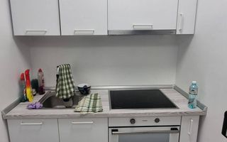 Apartament 1 Camera | 30 m2 | Pet Friendly | Zona Zorilor Golden Tulip - Poză 8