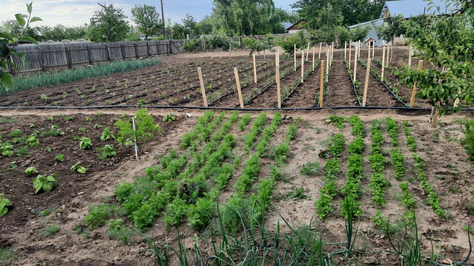 Casa Parter+Pod 90 mp+anexa 60 mp + atelier + teren intravilan 1600 mp - Poză 45