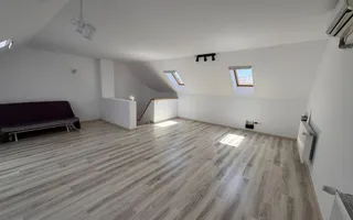 Vila Volutari 5 Camere Matei Millo - Poză 20
