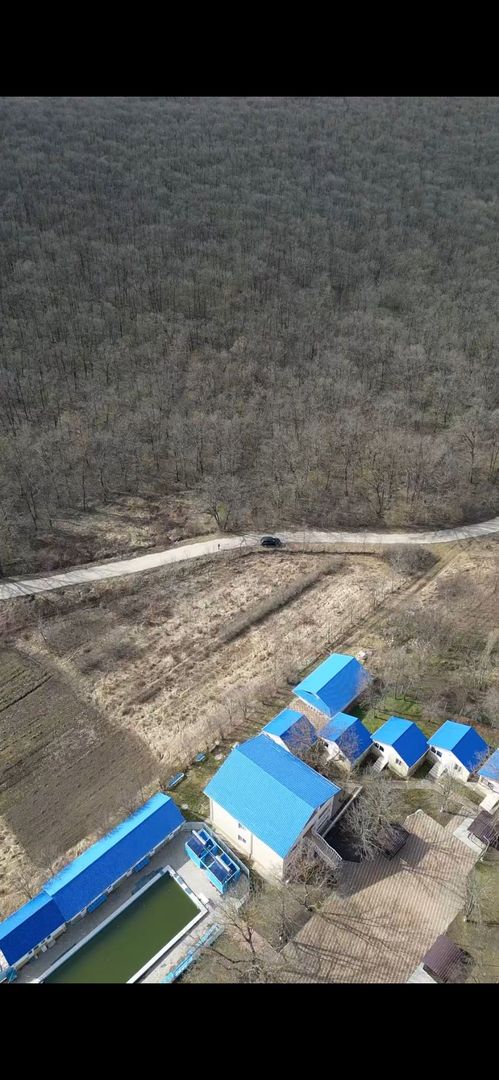Pădure de vânzare - 2 Ha pentru Agroturism - Poză 1