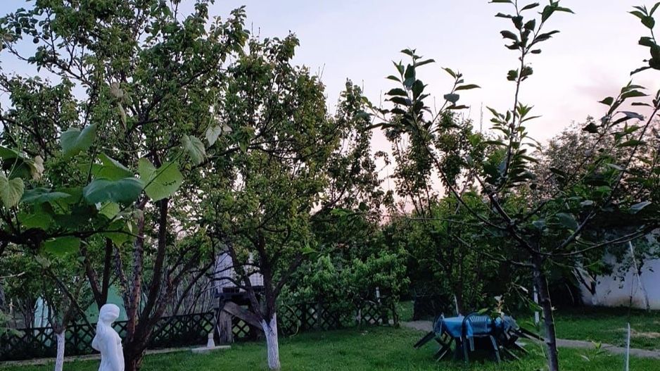 Casa | 9 camere | Garaj | Piscina | Teren 3.000 mp | Comision 0% - Poză 6