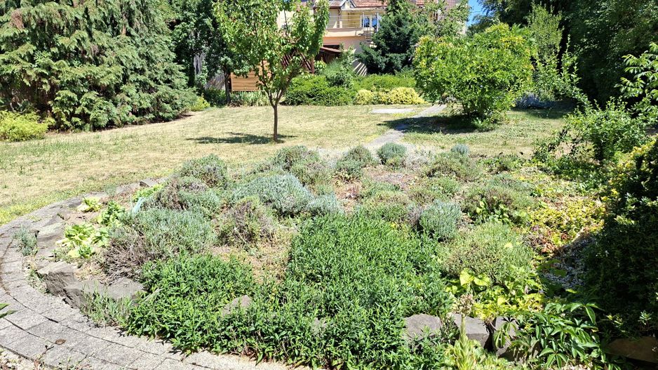 BRASADAS vinde casa P+M 6 cam 227mp teren 11 ari in 14 Mai. - Poză 18