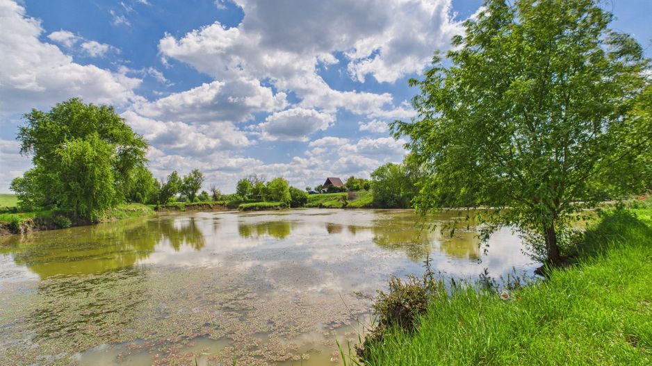 Teren cu baltă- oportunități multiple la Fibiș - Poză 24