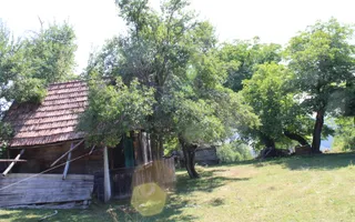 Terenuri Carpinis I parcelabil I Curent pe proprietati - Poză 59