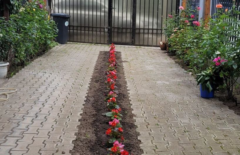 3 CAMERE Poligrafiei Jiului bloc 2006 - Poză 6