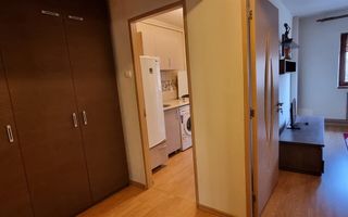 Apartament cu 1 Camera, Etaj 1, Zona Cetate - Poză 2