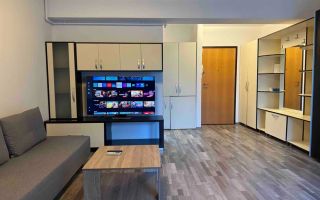 Garsoniera- Aviatiei - Poză 1