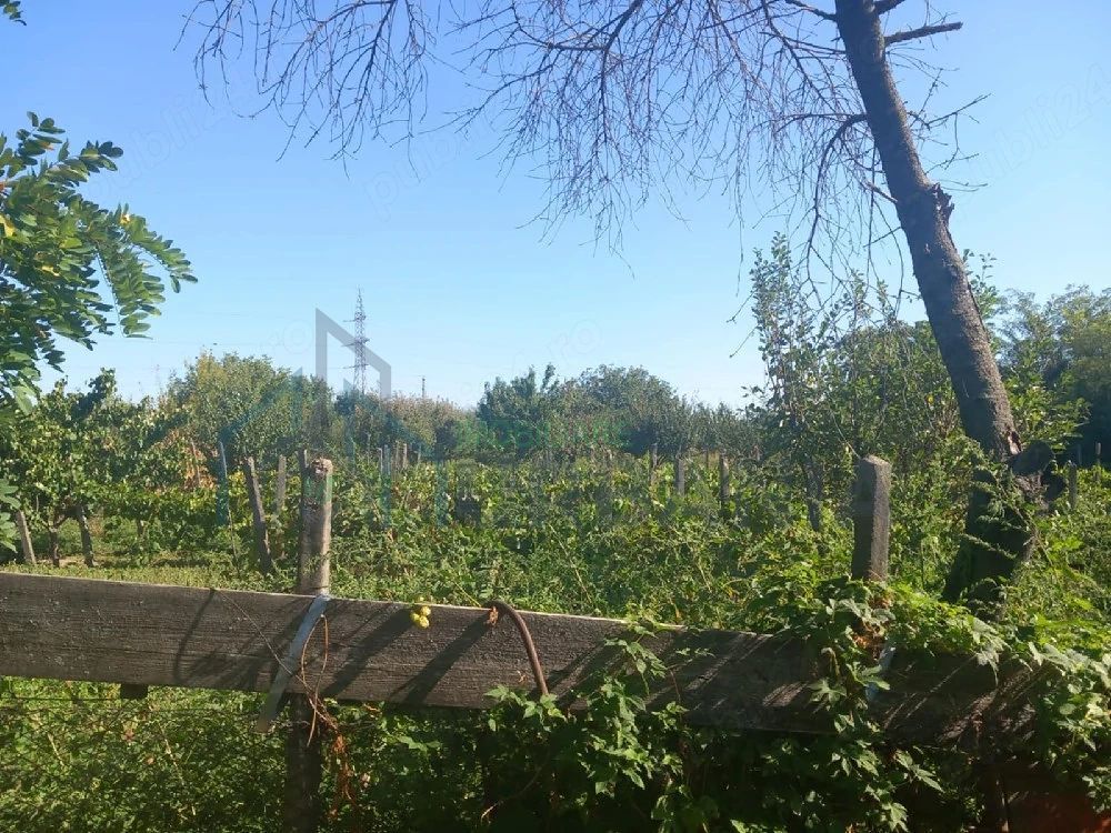 Casă de vânzare în Comuna Costuleni, județul Iași - Poză 4
