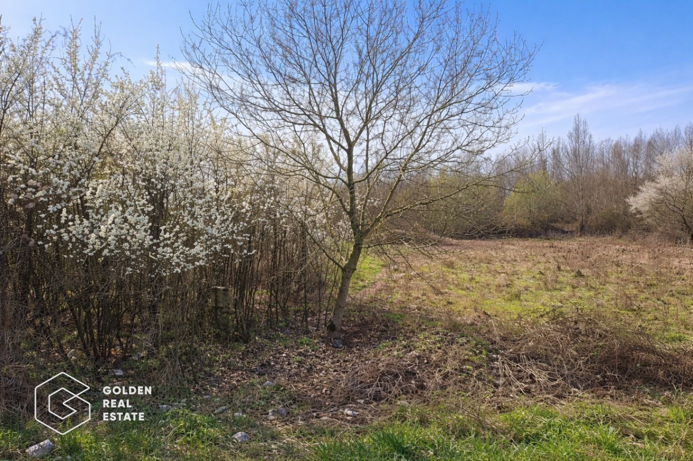 Teren intravilan, 4300 mp, sat Cuvesdia - Poză 1