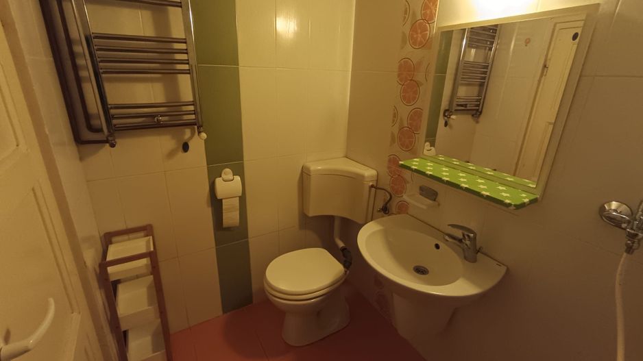 Apartament cu 2 camere strada Horea - Poză 6