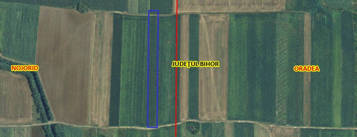 Teren Extravilan Nojorid - Poză 2