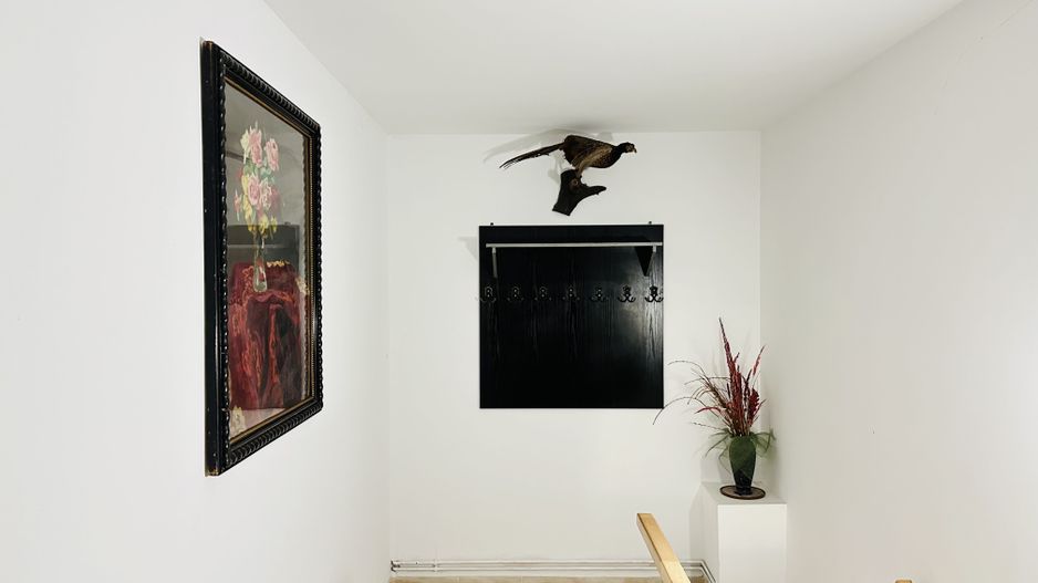 Apartament spatios cu 2 camere, in Vila apartamentata - Take Ionescu - Poză 7