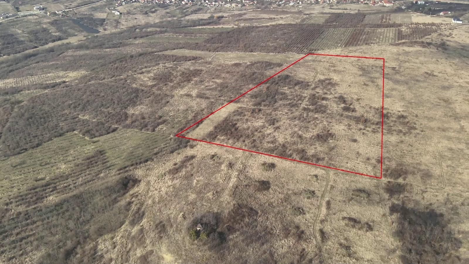 Teren Saldabagiu de Munte cu vedere spre lac - Poză 3