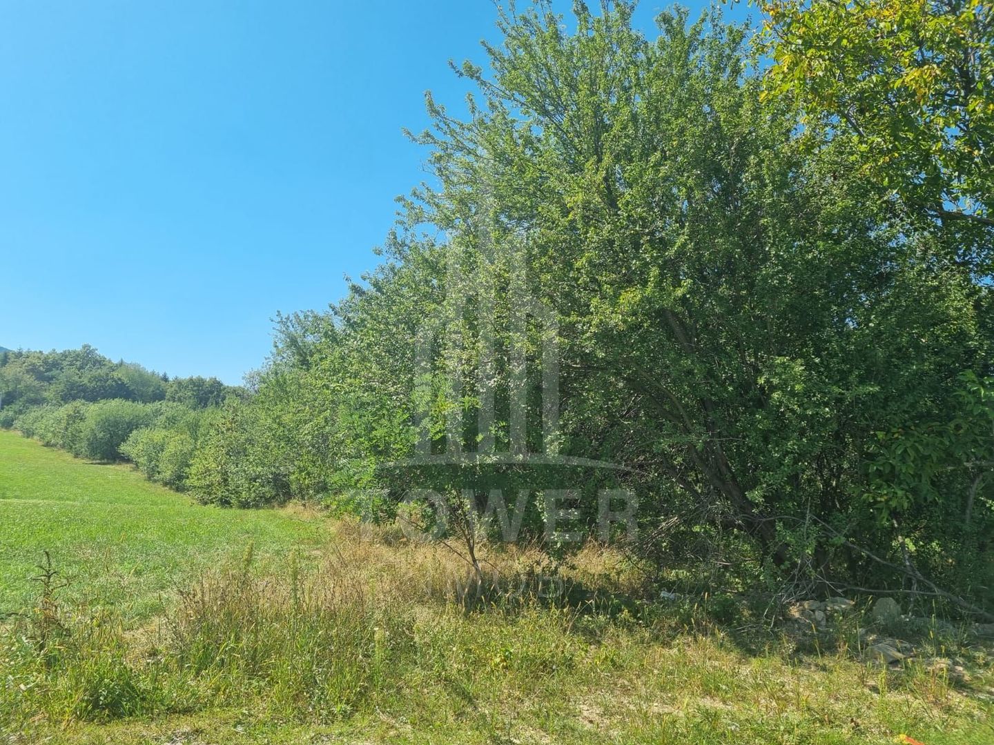 EXCLUSIVITATE! Teren la șoseaua principală | Tocile - Poză 7