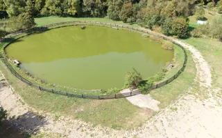 Complex Turistic activ,  2 lacuri ,teren 16800 mp -zona Valea Dobârlău - Poză 20