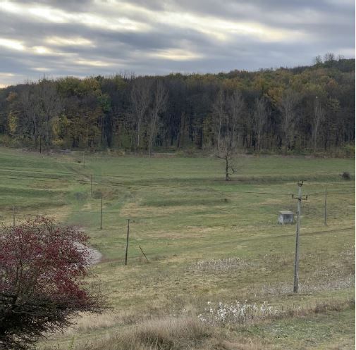 Teren Medias - Poză 1