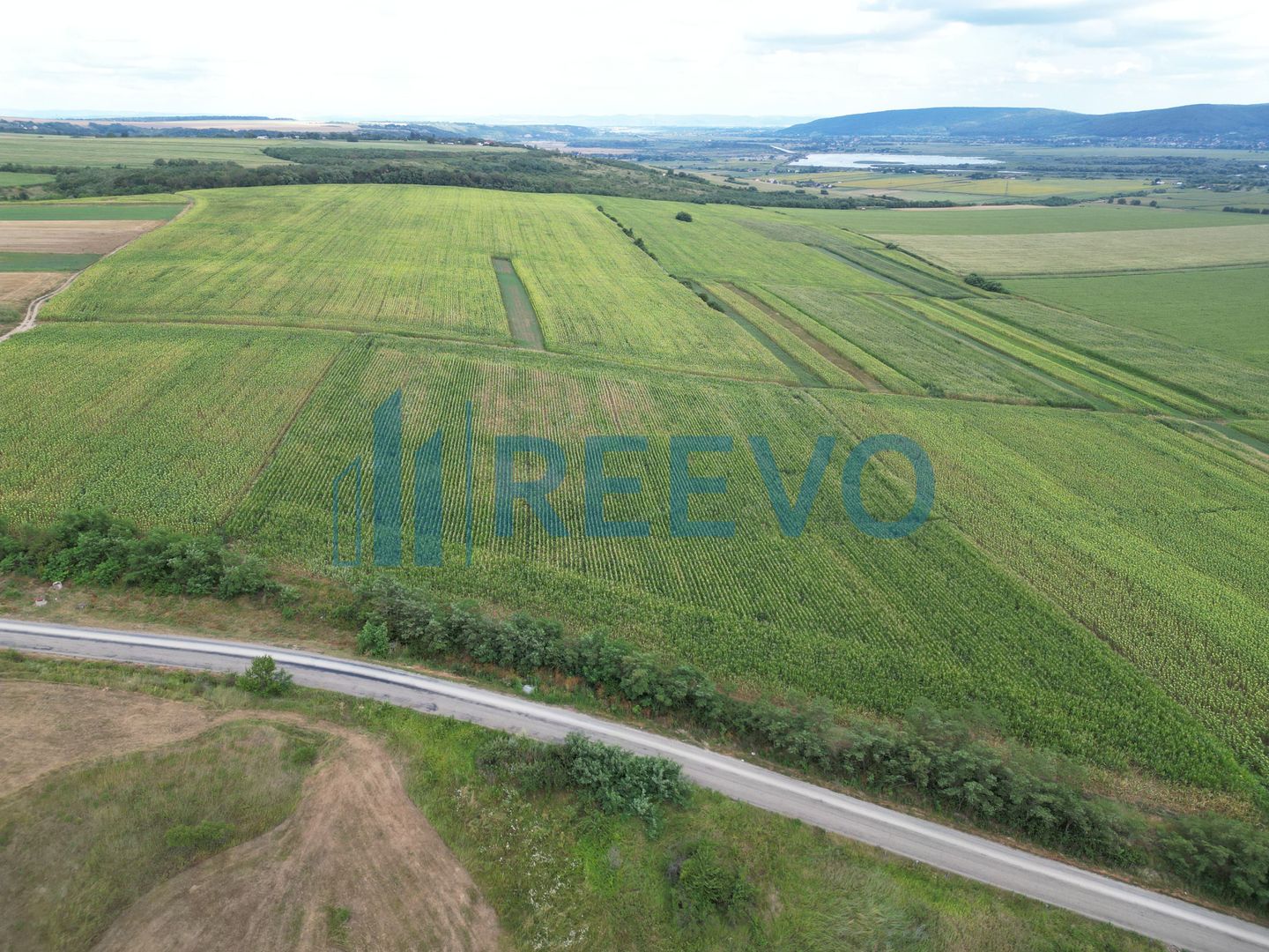 Teren de 3.600 mp Racova - Poză 5