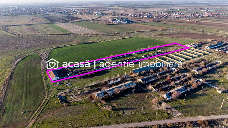 Ferma 1.15 HA lângă DN7 & Autostrada E68 – Nădlac | clădiri+utilități - Poză 1