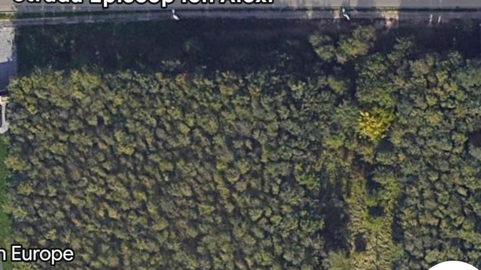 TEREN INTRAVILAN ONCEA 3000MP - Poză 2