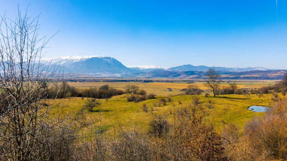Teren 6 Hectare cu PUZ pentru Resort Turistic panorma Muntii Piatra Craiului - Poză 3
