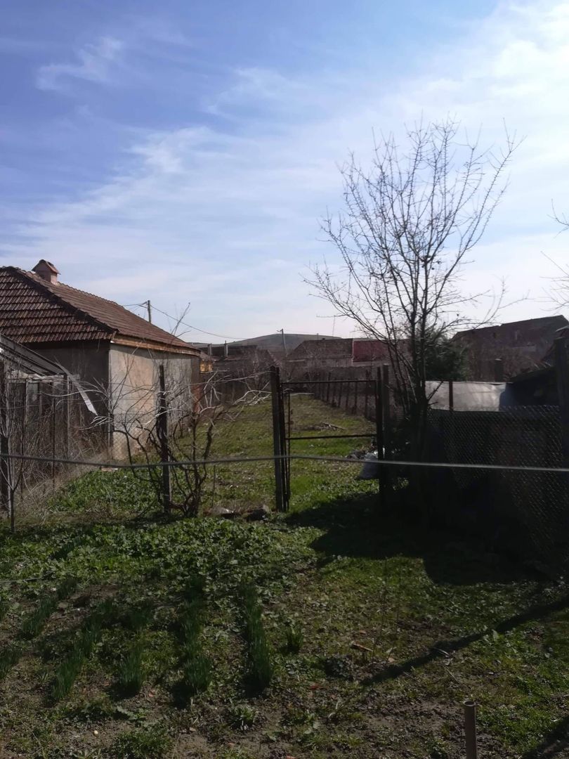 Casa de vanzare în Cunța - Poză 6