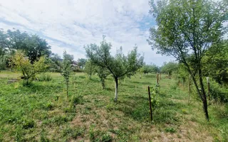 Casa individuala | Cu etaj | 110 mp | 2000 mp teren | Paclisa - Poză 11