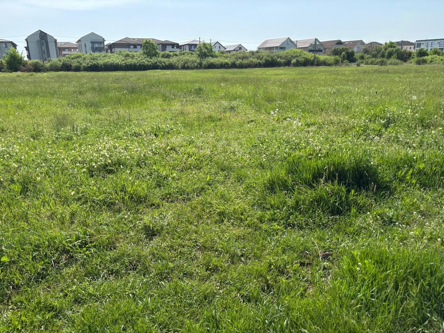 Teren de 721 mp cu Urbanism aprobat pentru duplex - Poză 5