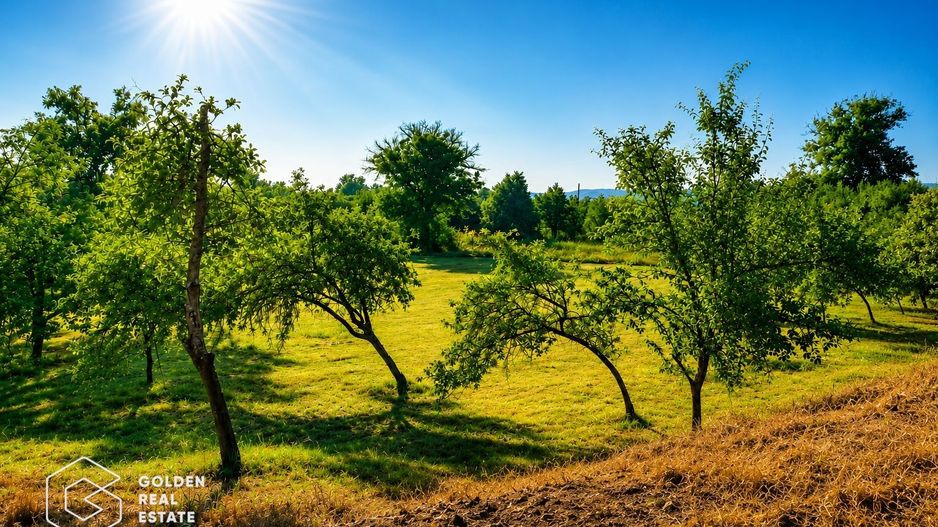 Teren agricol extravilan 250,47 ha, Șiștarovăț, județul Arad - Poză 2