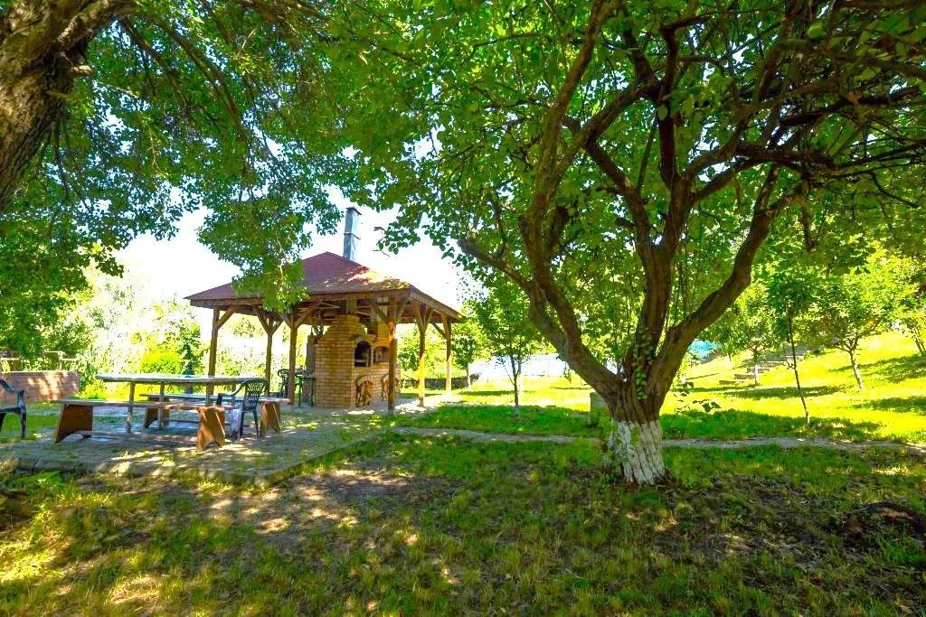 Oportunitate de investitie| Delta Dunarii |Mila 23| pensiune activa - Poză 4