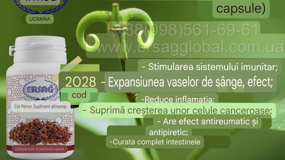 Apartament 1 camera - Poză 3