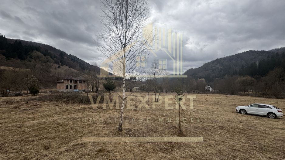 TEREN INTRAVILAN 500 MP SĂTIC- RUCĂR - Poză 7