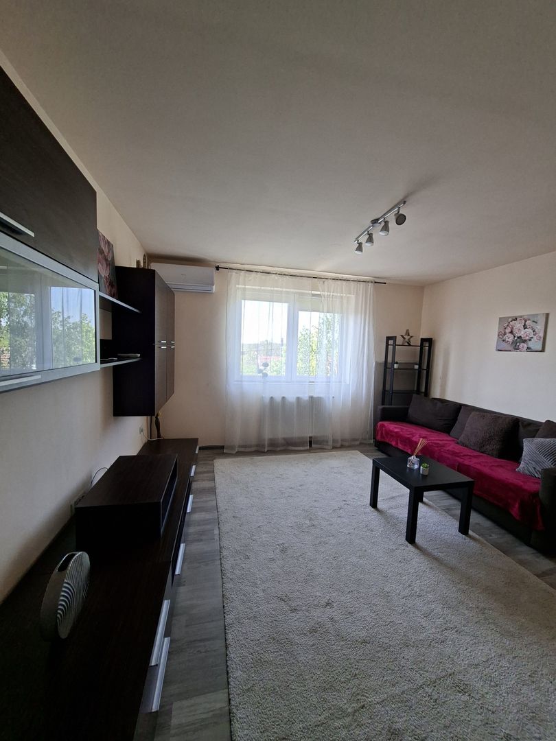 Apartament 3 camere la 10 minute de Timișoara - Poză 14