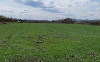 Teren extravilan 5.900mp,langa lac,acces dublu,apreciabil potential,Breaza,Mures - Poză 2