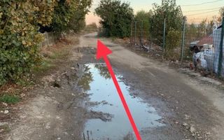 Vand/Schimb Teren Strada Amatului - Poză 4