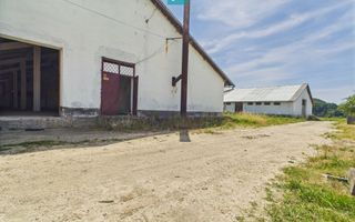 Hale 1800 mp fiecare – acces autostradă, Teiu, HD - Poză 20