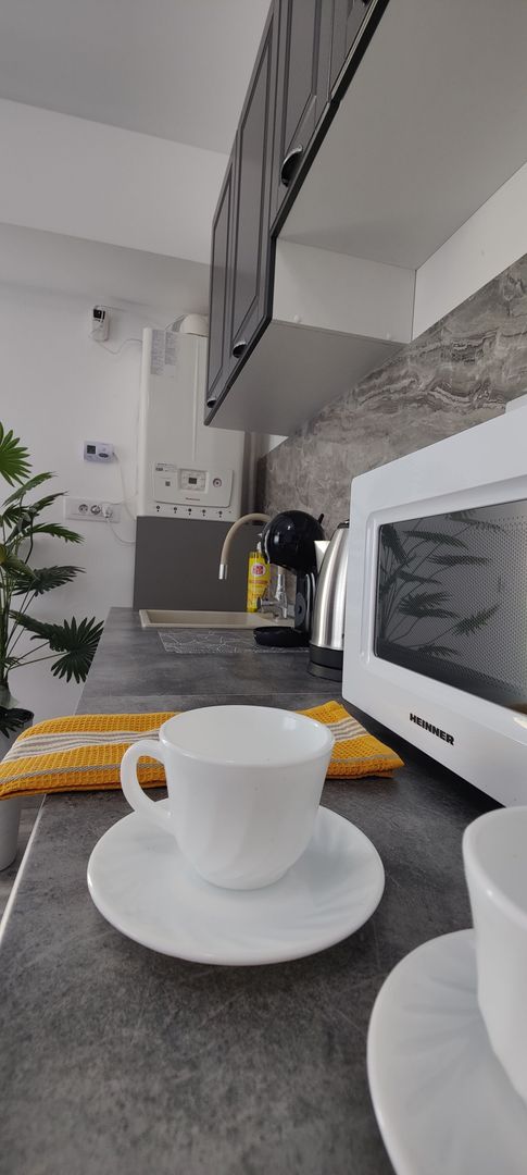 Studio modern, 40 mp | Strada Samuil Vulcan - Poză 12