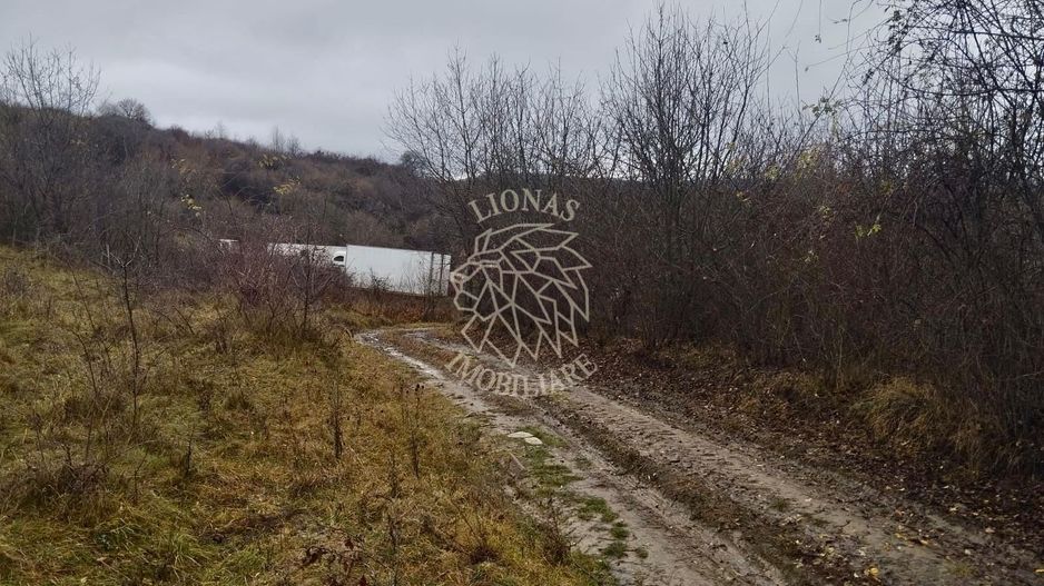 Teren 1000 mp-ideal casa de vacanta, investitie-Zona Valea Budacului - Poză 2