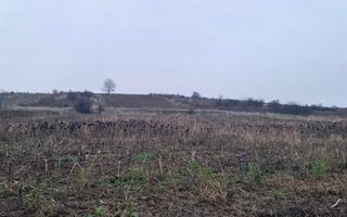 Teren 5096 mp extravilan Oncea/Episcopia Oradea - Poză 5